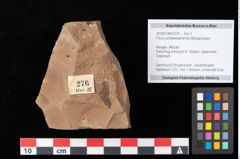 Foto (Objekt + Etikett) von Pinus posttaedaeformis Ettingshausen (NHMW-GEO-2024-0188-0276)
